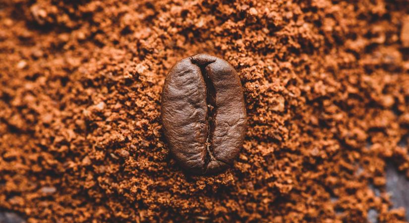 Már Magyarországon is kapható a világ legkülönlegesebb kávéja, ami nem a Kopi Luwak