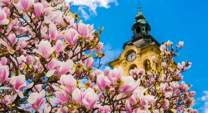 Szinte tökéletes idővel indul a hét Csongrád-Csanádban