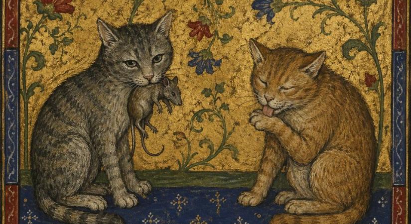 Ezek voltak a legnépszerűbb középkori macskanevek