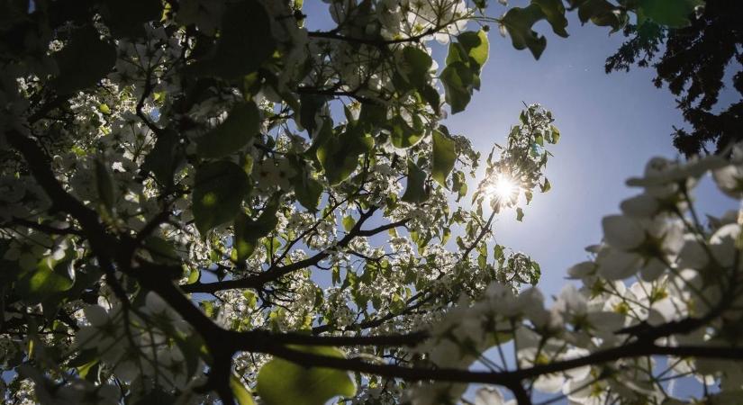 Végre barátságosabb arcát mutatja az időjárás a hét elején