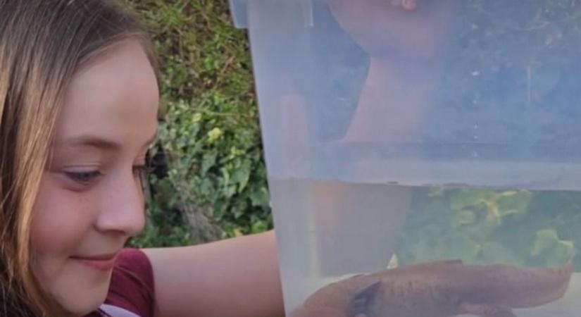 Édesanyja először nem hitt neki: 10 éves kislány talált rá a rendkívül ritka fajra