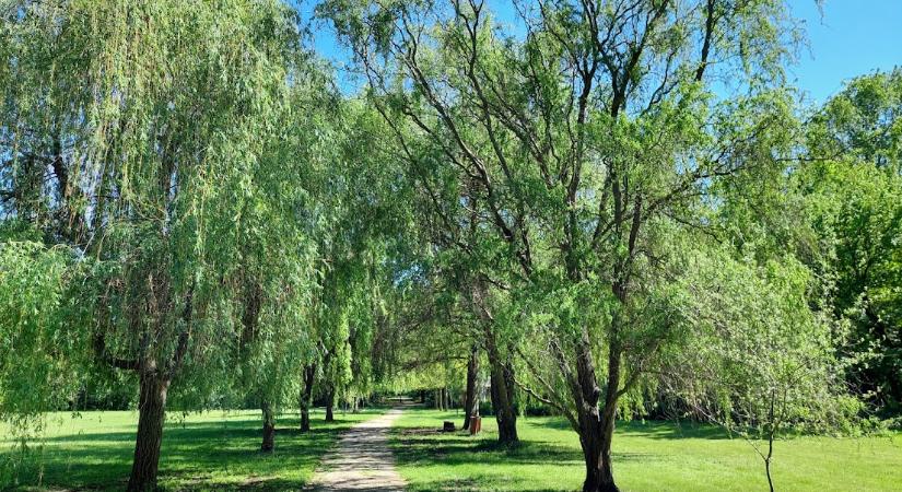 Az átlagosnál kissé hűvösebb lesz a hét, szerdán újabb hidegfront érkezik