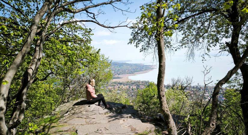 Balaton, kilátás, kőlépcsők – Az új PICK Bordó körtúra mesés (íz)élményeket rejt