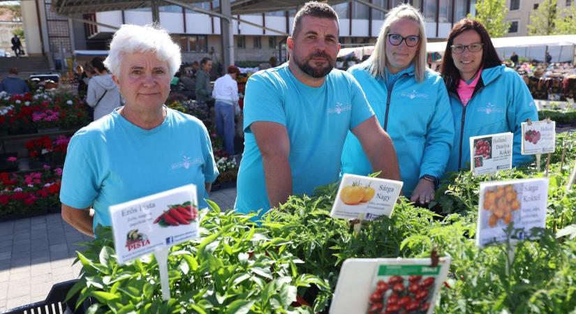 Palántázás előtt állsz? Ezek a fajták fogynak most a legjobban a piacon