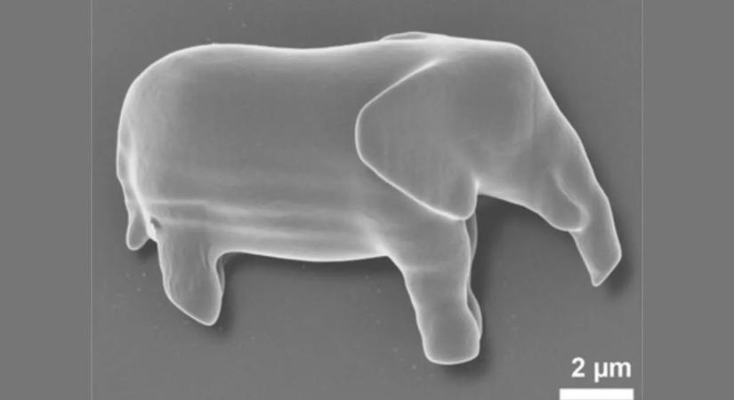 Ez már kész sci-fi: egy elefántot nyomtattak az élő sejtbe