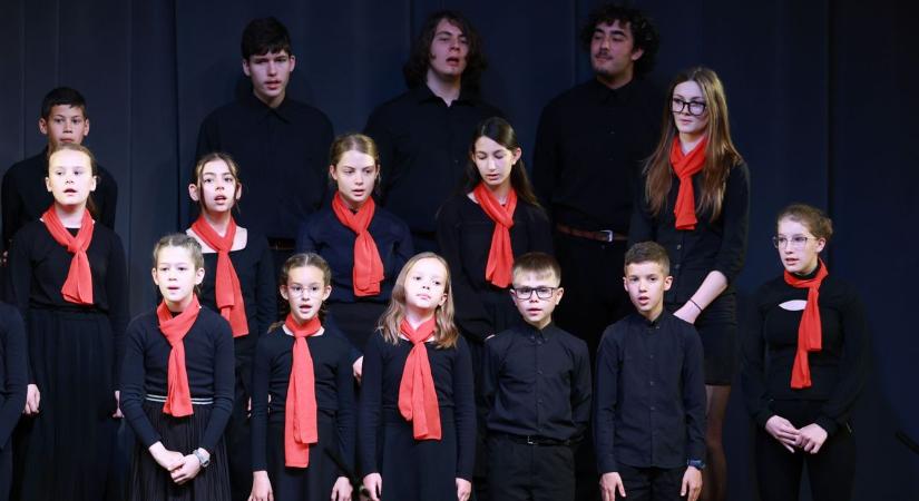 Aranyeső és szakmai diadal Szekszárdon (galéria)