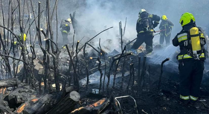Tűz a szombathelyi Parkerdőben: helyszíni fotókon az oltás