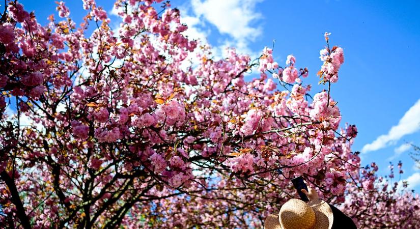 Lehűlést hoz a hét közepe, a hosszú hétvégére viszont visszatérhet a tavasz