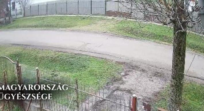 Villanyoszlophoz csapkodta a kutyát egy abonyi férfi, vádat emeltek ellene