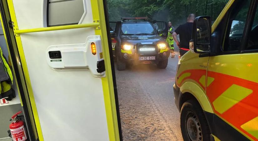 Életmentés a Pilisben: bajbajutott, beteg emberhez vonultak ki a mentők