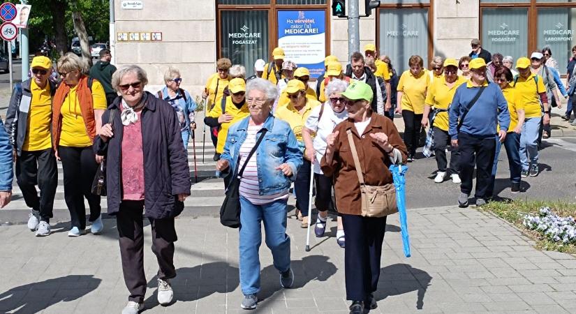 Újrahuzalozott agy és egészség, Monspart Sarolta álma tovább élt Szolnokon– galériával