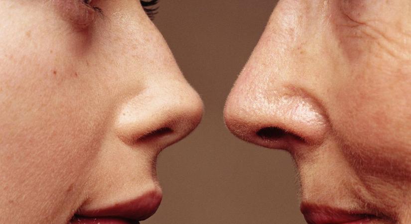 Friss kutatás: megtalálták az öregedés ellenszerét, és teljesen ingyen van!