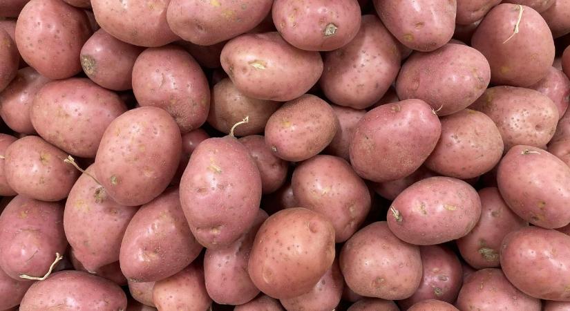 Burgonyaágazat: alkalmazkodás vagy lassú elsorvadás?