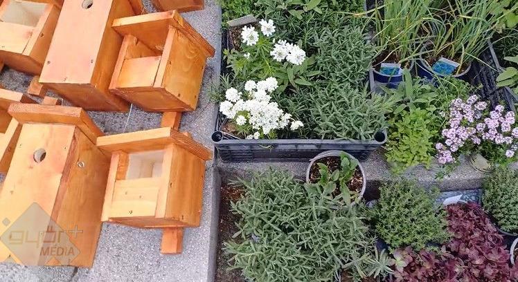 Természet és energia együtt