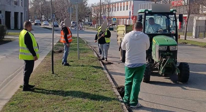 Szépül a hajdú-bihari város, ezek voltak a legfontosabb tennivalók!