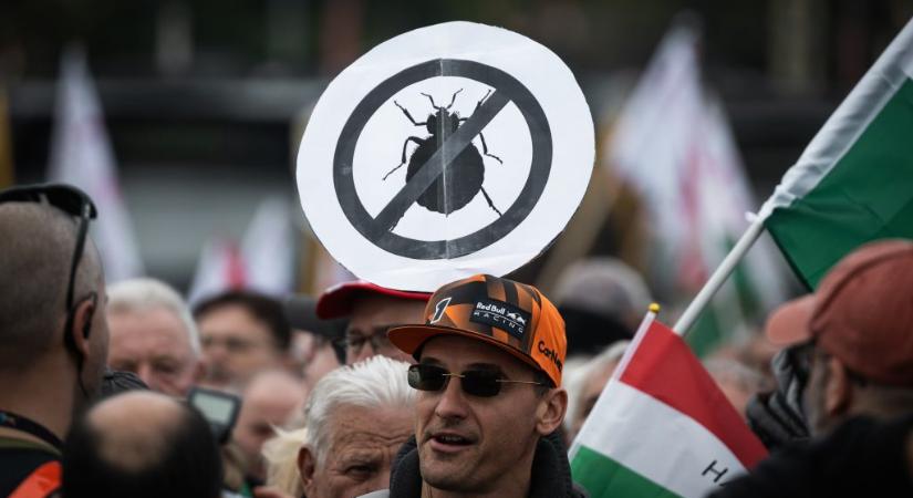 A Magyar Nemzet bocsánatot kérő levelet küldött Magyar Péternek a poloskázás miatt