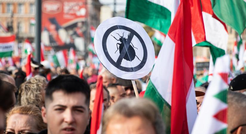 Annál tökéletesebbet ma nem fogsz látni, mint ahogy a Magyar Nemzet bocsánatot kér Magyar Pétertől