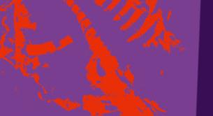 Wojciech Tochman: Mintha követ ennél