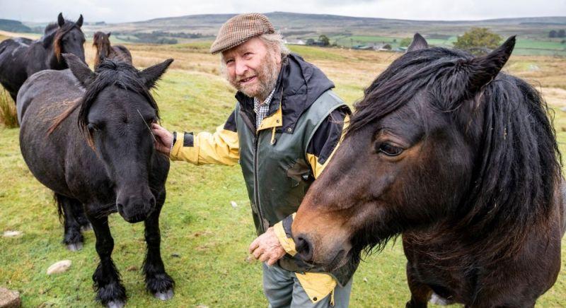 Hintaló lett II. Erzsébet kedvenc pónija