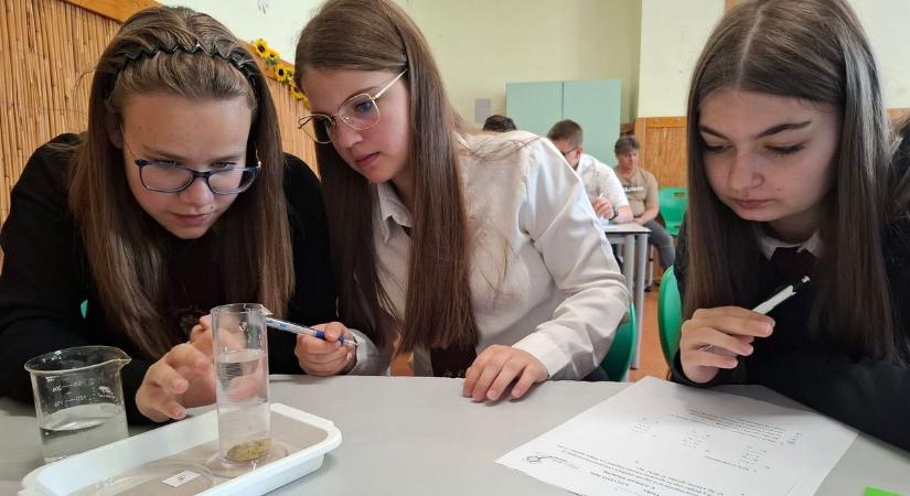 Fenntarthatóság és teremtésvédelem, természettudományos verseny a Szent Vincében