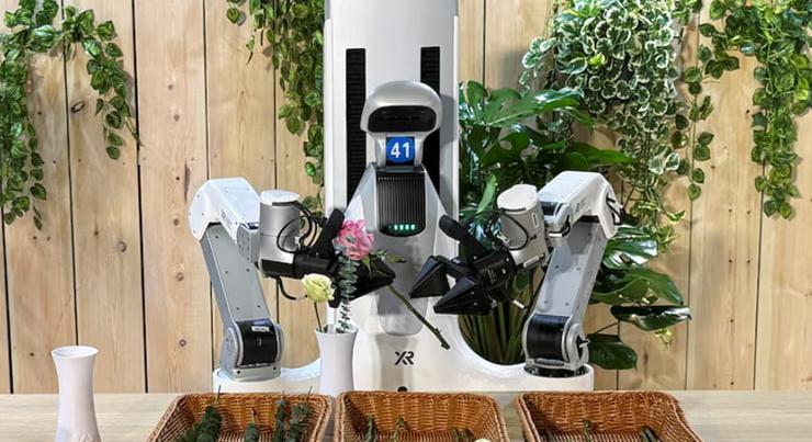 Kopogtatnak az első robot bejárónők: fillérekért törnek be a piacra