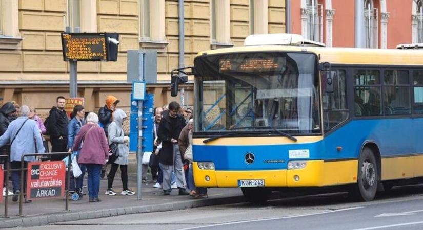 Az állatkerthez sűríteni kellene a buszjáratokat – ezt is írták olvasóink