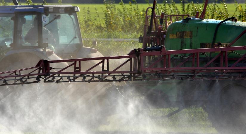 Így lesz sikeres a védekezés őszi búzában