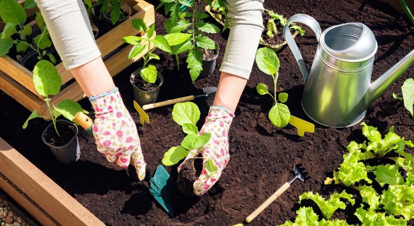 Kerti ellenőrzőlista: ezt nézd át most, mielőtt késő lenne