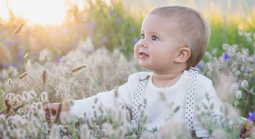 Hat pici élet kezdődött meg a hétvégén Győrben és Mosonmagyaróváron