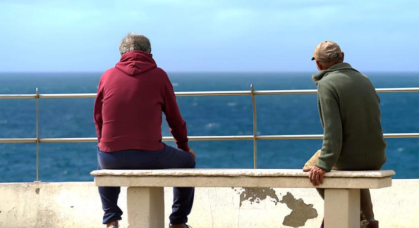 Timár Anikó: Barátság