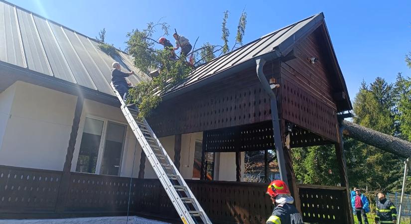 Házra dőlt egy fa a Hargita megyei Marosfőn