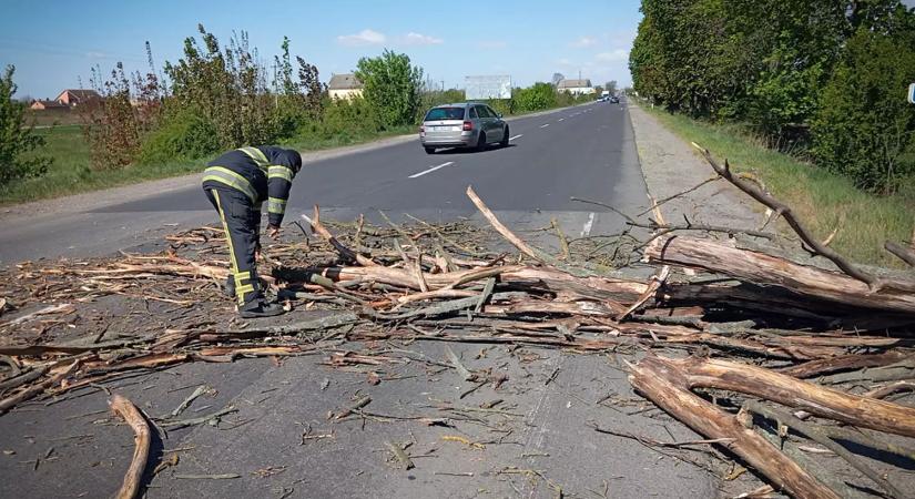 Szélsőséges időjárás Kárpátalján: 15 településen továbbra sincs áram