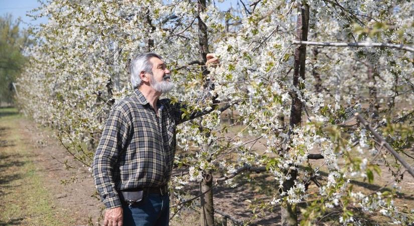 Fagyokkal búcsúzik az április, mutatjuk mi vár ránk Hevesben