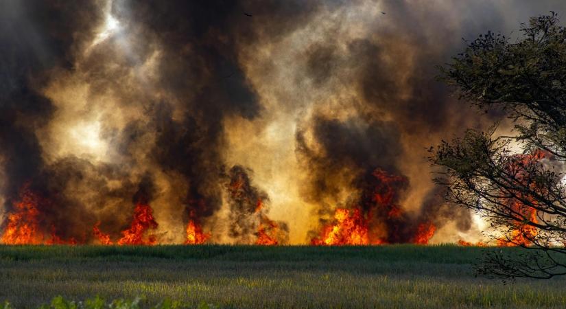 Hatalmas lángok csaptak fel Borsodban: tűzoltók, katasztrófavédők és civilek is oltanak