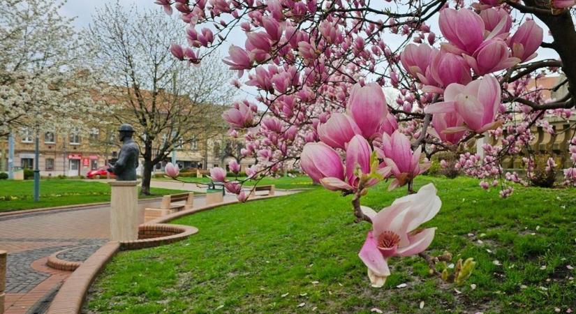 Még várat magára a melegebb idő, egy újabb hidegfront jön