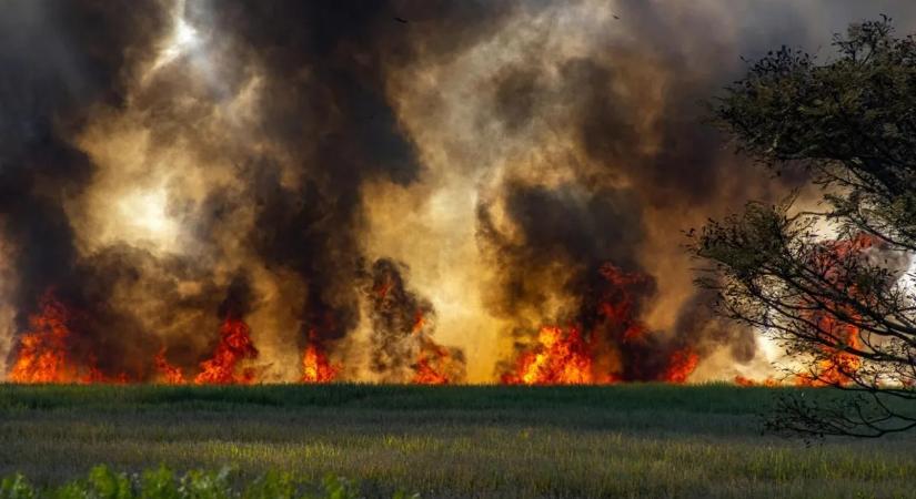 Pokoli hőségben küzd egy maroknyi ember Borsodban