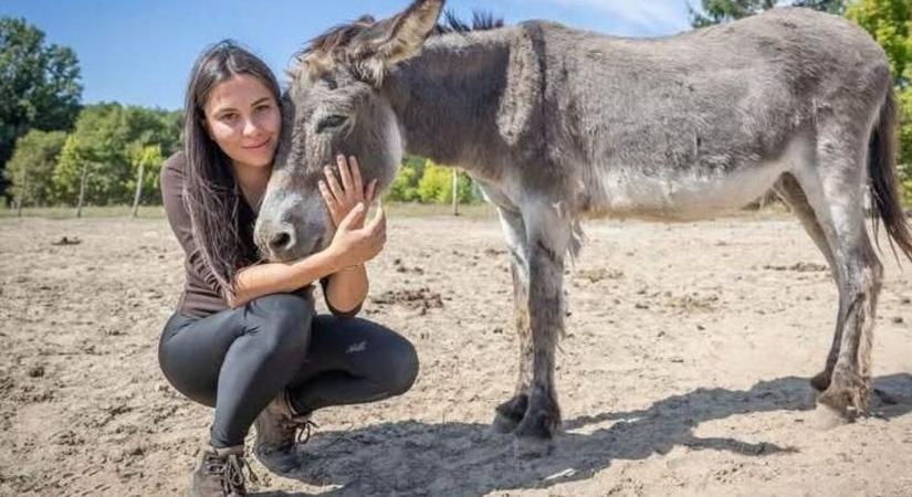 A csirkemell nem a szupermarketben, a tojás nem tálcán terem – csodát visz az óvodákba-iskolákba a darányi anyuka
