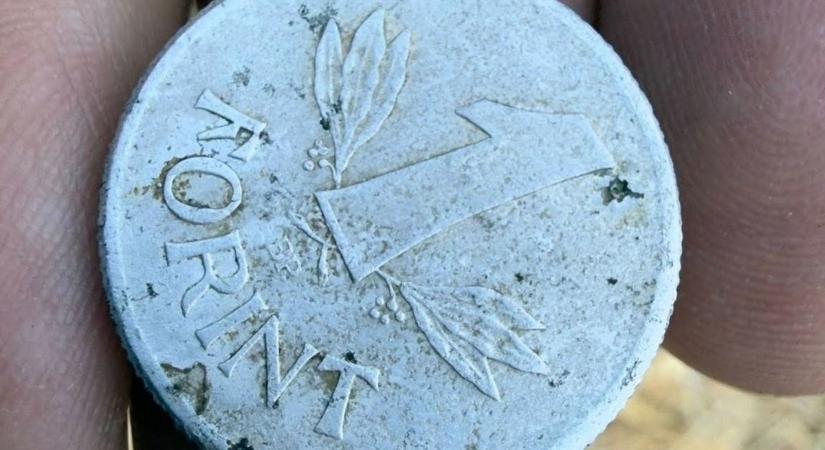 Boszorkányság a szabolcsi horgászversenyen? Nem akármivel fogtak 20 kilós harcsát – fotók, videó