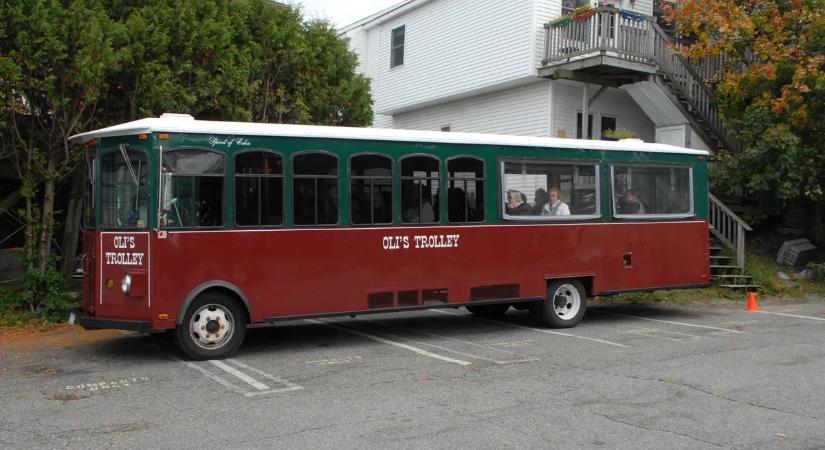 A lovaskocsitól a kábel nélkül suhanó szuperbuszokig, retró képekben a troli története