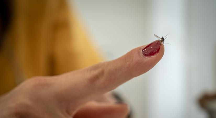 Továbbra is terjed a gyilkos kór: 80 országban regisztrálták, százezrek halnak bele évente