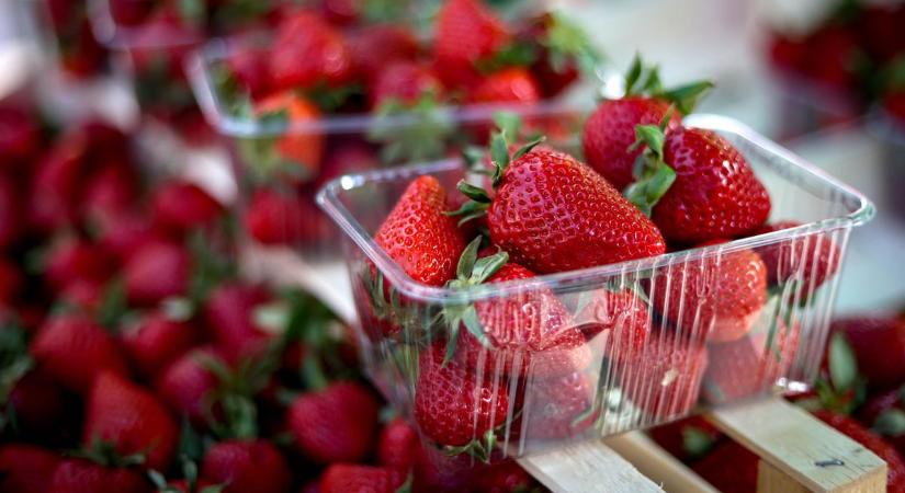 Filléres csodaszer: Így mosd meg a gyümölcsöt, hogy tovább friss maradjon!