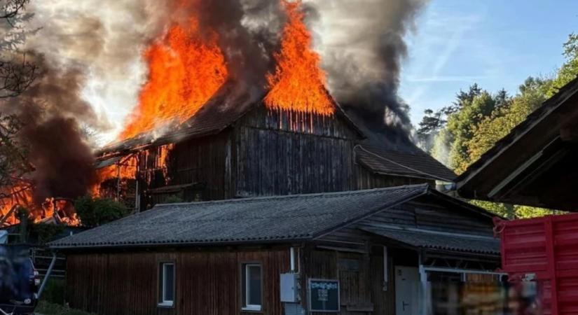 Farmtűz Svájcban: tízen megsérültek, istálló és lakóház is leégett