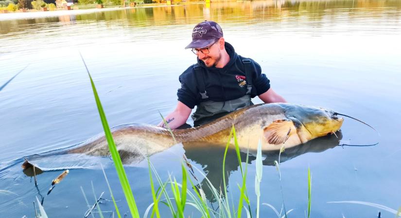 Kapitális, két méternél is hosszabb harcsát fogtak ki a vasi tóból - fotó