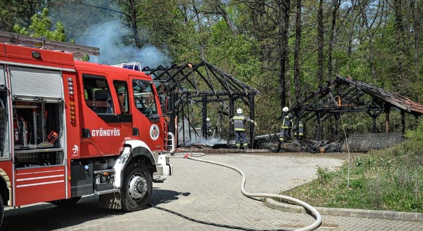 Fotókon, milyen pusztítást végzett a tűz a Mátrában
