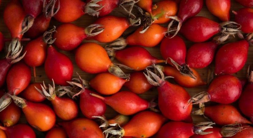 A fenékviszketést okozó gyümölcs: van, ahol furcsa néven emlegetik, pedig mindenki ismeri és igazi vitaminbomba