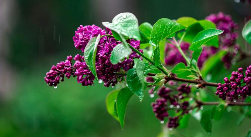 Meglepő fordulatot tartogat a májusi időjárás