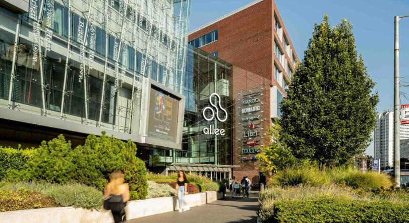 Hogy kerülnek a vakvezetőkutyák az Allee-ba?