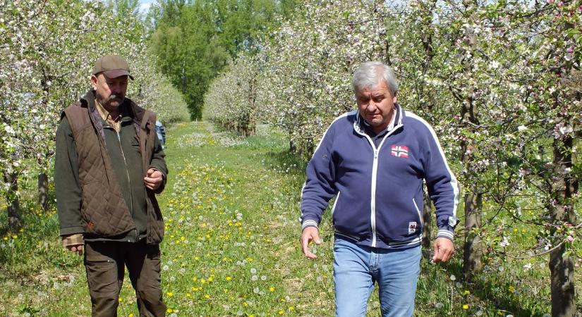 Halálos tavasz: sokkoló számok érkeztek Szatmárból!