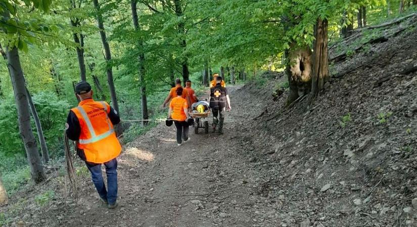 Bajba jutott túrázók a Mátrában: így mentették ki őket a sötétben - videóval