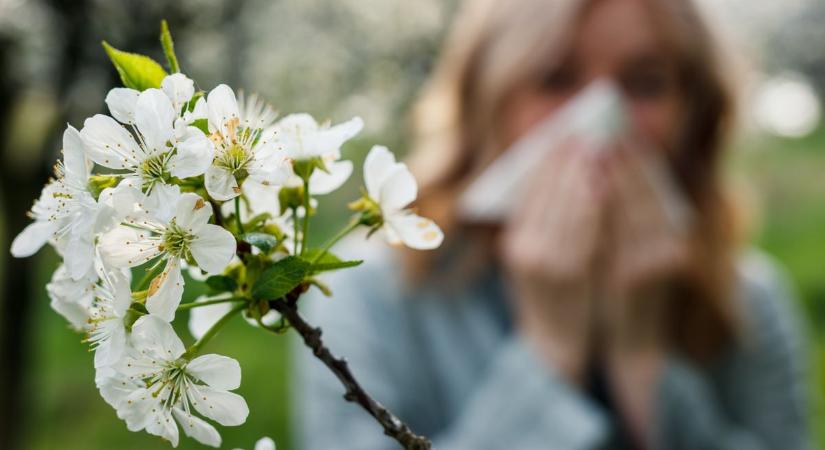 A klímaváltozás miatt hosszabb lesz a szénanátha szezon